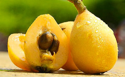 ����ѡ��ժ��������300����ƪ