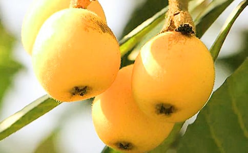 ���˵�����300�־�ѡ(3ƪ)