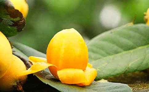 ����һ�ʵ���Դ��ʲô