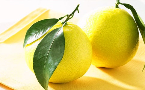 柚子的作文300字8篇(精品)