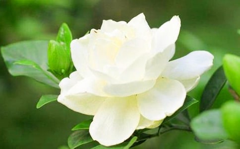 ��д������ʫ���п���ͥ���ӻ�