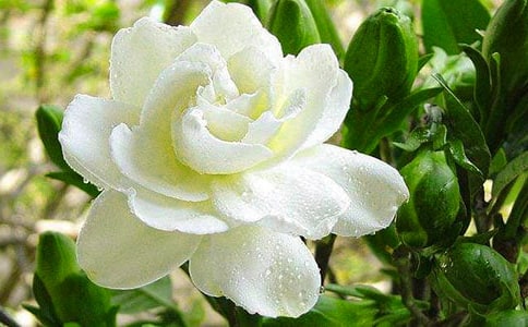 ����һ�仰֤���㿴�����ӻ���,��дһ�仰֤���㿴�����ӻ���