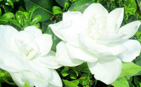 ���ӻ�������̨��