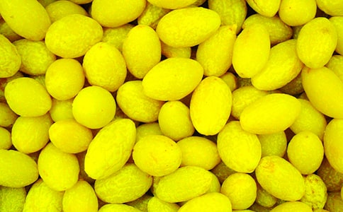 橄榄型分配格局