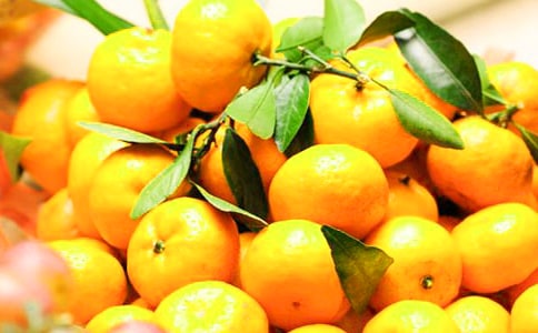 ��������ζ�����졷�и�7ƪ