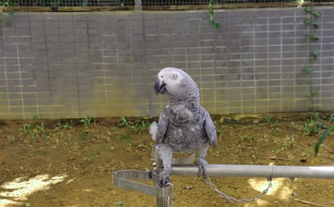 ������������300����ƪ