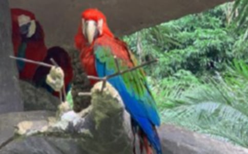 ��ʵ�á����ĵ�����300��7ƪ