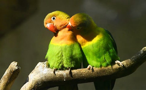 �Ҽҵ���������300��