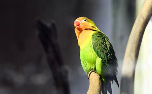 [�ϼ�]���ĵ�����300��