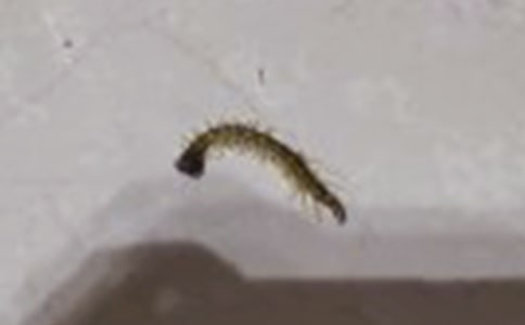 �������滹�Ǻ���