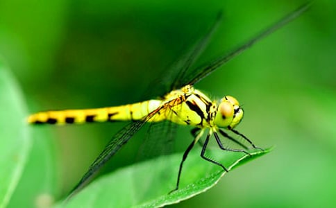 [��]���ѵ�����300��