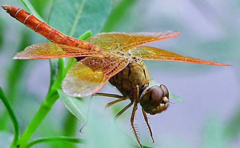 ��������300��