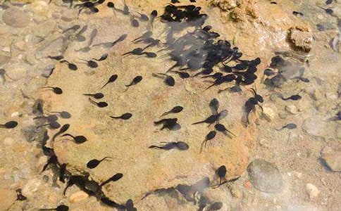 ��ʵ�á��������300��10ƪ