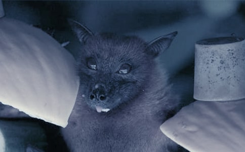 ��������300��