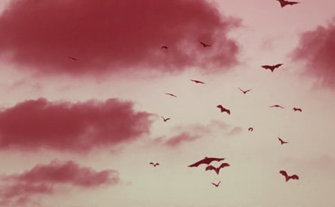 �����ǲ��ǲ��鶯��