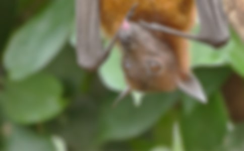 �����Ǳ���������