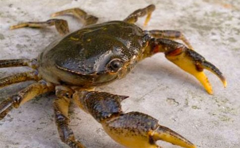 �з��ʲô��λ