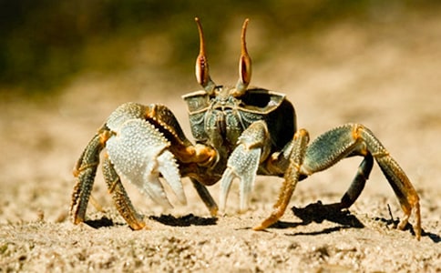 �з������300�ֺϼ�6ƪ