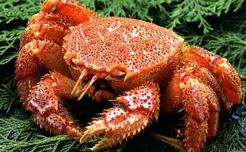 �з���ֵ�Ъ����Ĺ��º�����