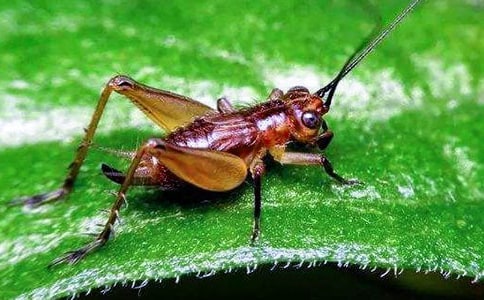 �����ܺܰ�����ʱ����Ϳ�ʼ��������Ϊ���˾�