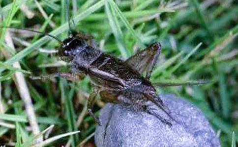 ������300�ּ���4ƪ