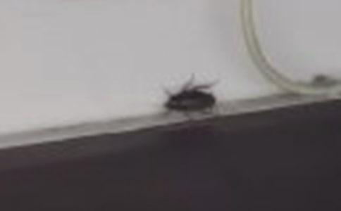 ���Ƽ����������300��4ƪ