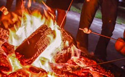 �������������߻�����������10ƪ��