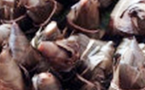 �����ӷ�����Ȧ��˵˵����ѡ180�䣩