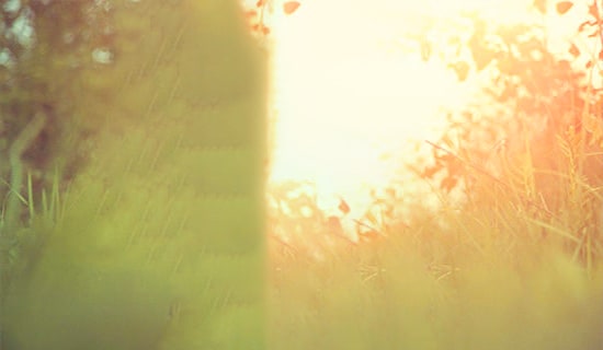 正月初一兔年拜年唯美祝福语