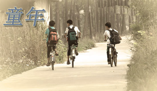 ����ͯ�����������,����ͯ������������ܽ�