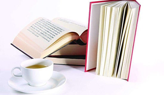 关于书籍的句子