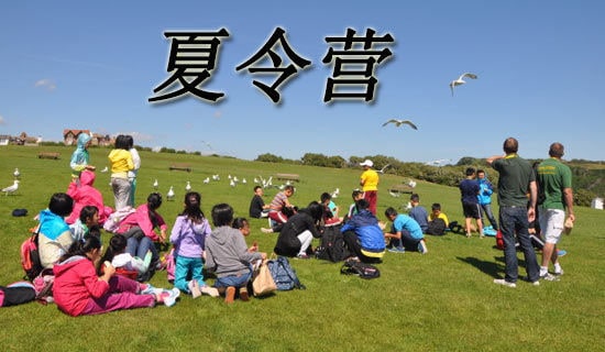 夏令营活动策划书15篇