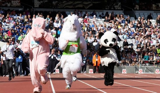 ְ���˶�����������